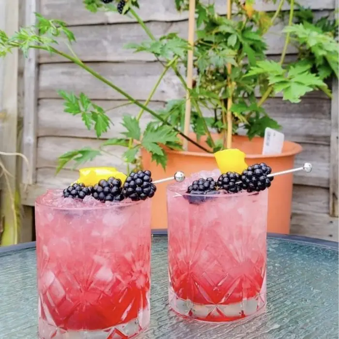 Bramble (Alcoholic Ordinary Drink Old-Fashioned glass)