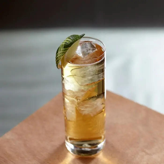 Cream Soda (Alcoholic Cocktail Highball glass)