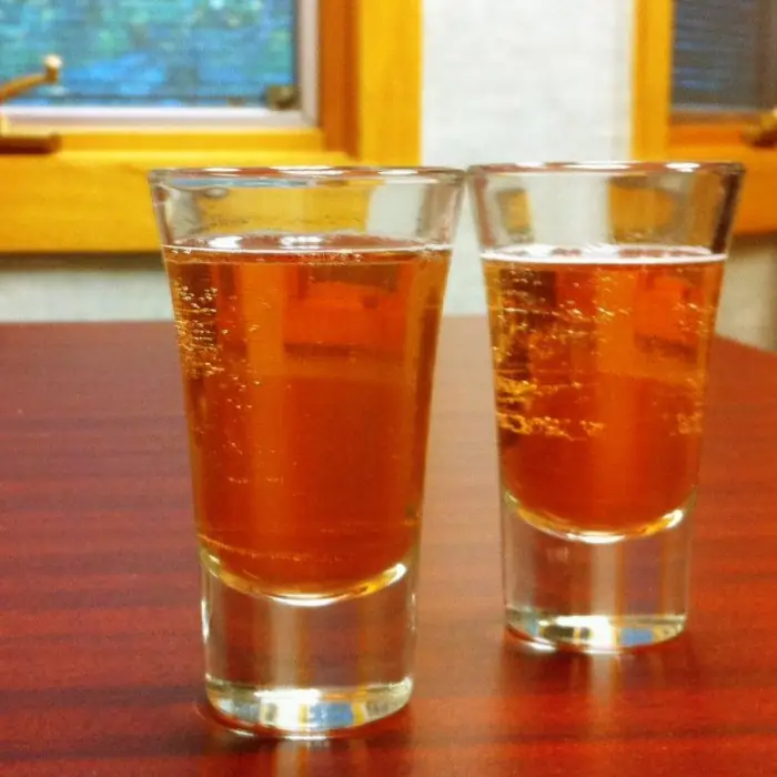 Damned if you do (Alcoholic Shot Shot glass)