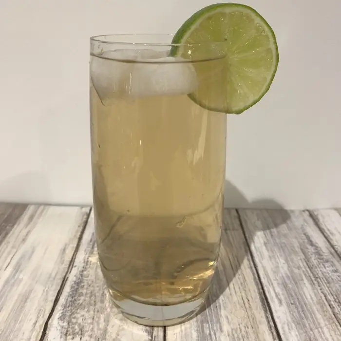 Dragonfly (Alcoholic Ordinary Drink Highball glass)