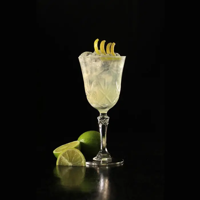 Gin Sour (Alcoholic Ordinary Drink Whiskey sour glass)