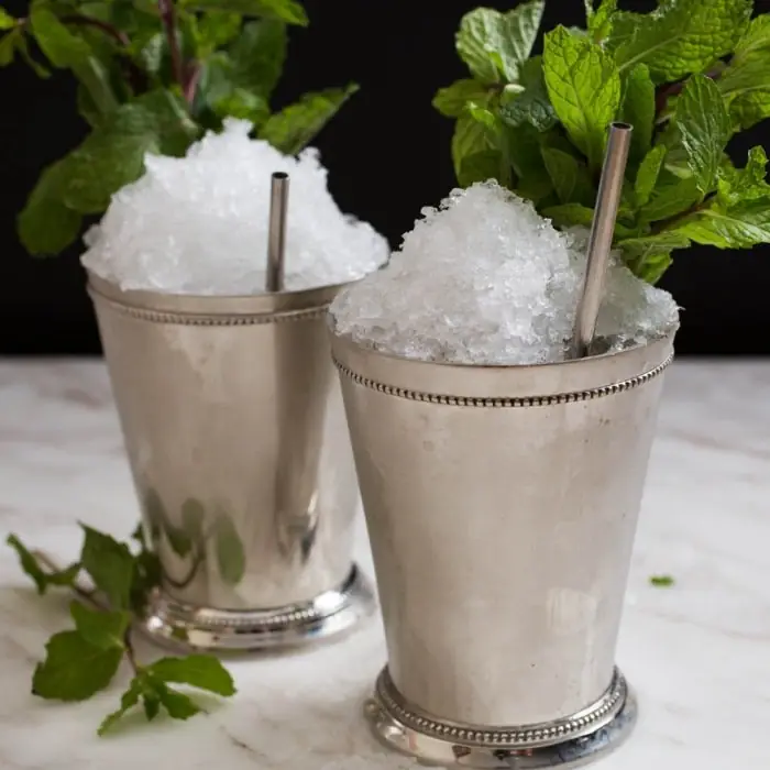 Mint Julep (Alcoholic Ordinary Drink Collins glass)