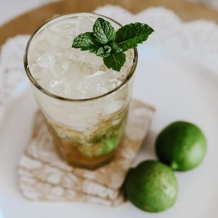 Mojito (Alcoholic Cocktail Highball glass)