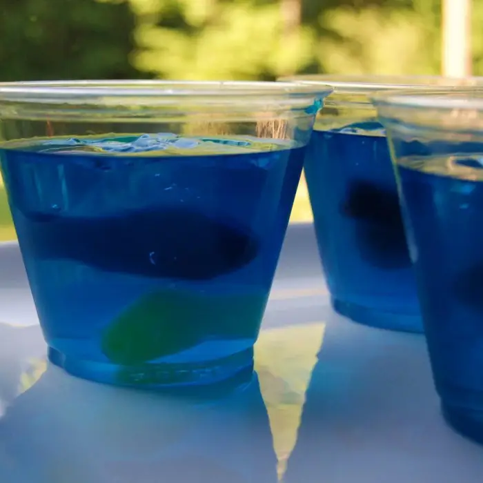 National Aquarium (Alcoholic Ordinary Drink Collins Glass)